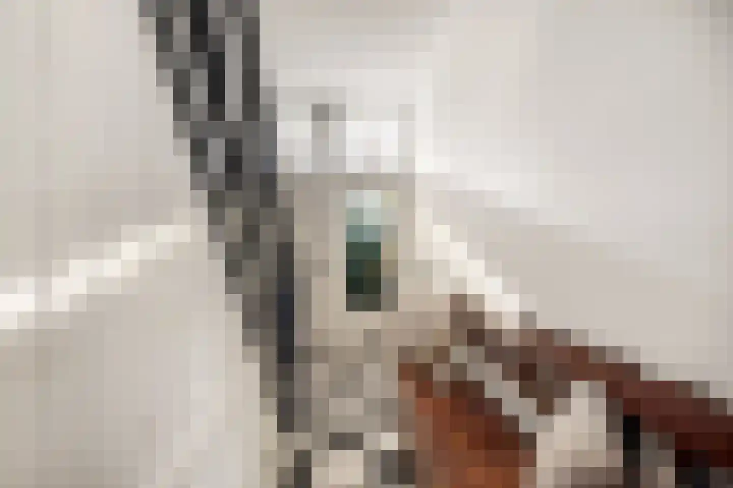 Dr. Schuitstraat 11 Beverwijk thumbnail 6