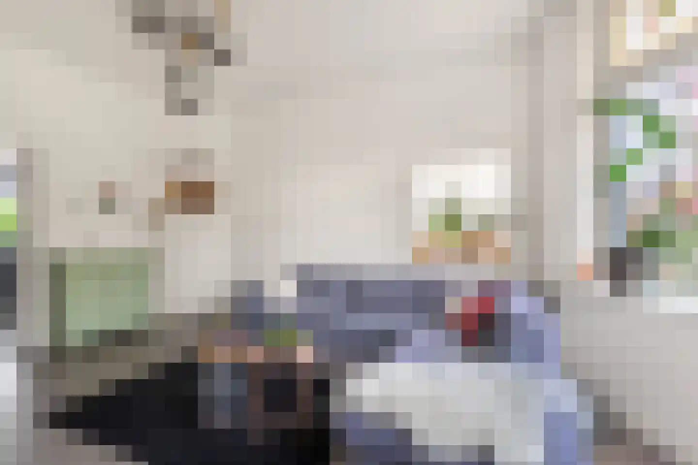 Dr. Schuitstraat 36 Beverwijk thumbnail 22