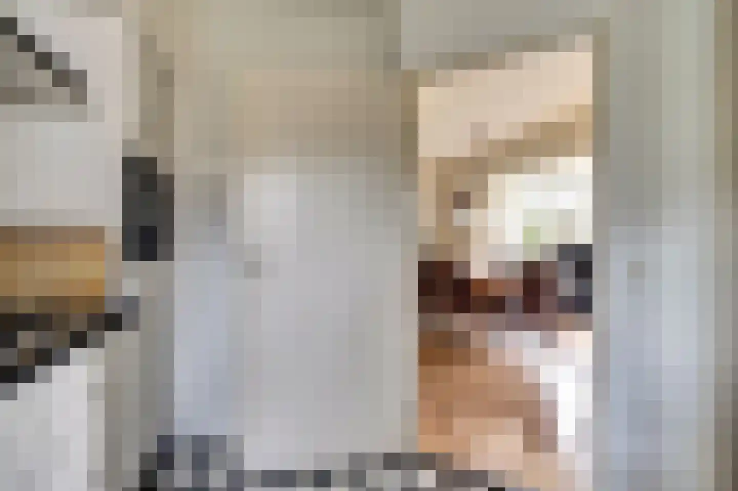 Dr. Sicco Mansholtstraat 91 Wieringerwerf thumbnail 15