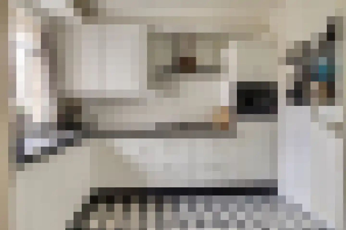Dr. Sicco Mansholtstraat 91 Wieringerwerf thumbnail 16
