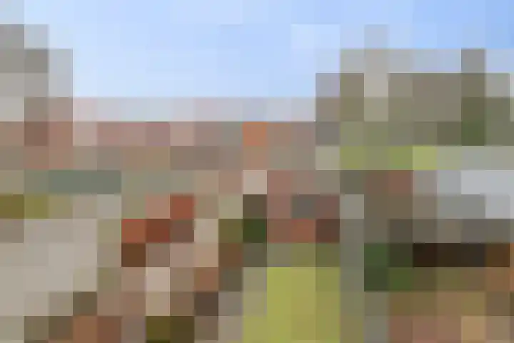 Dr. Slotemaker de Bruïnestraat 13 Veenendaal thumbnail 30