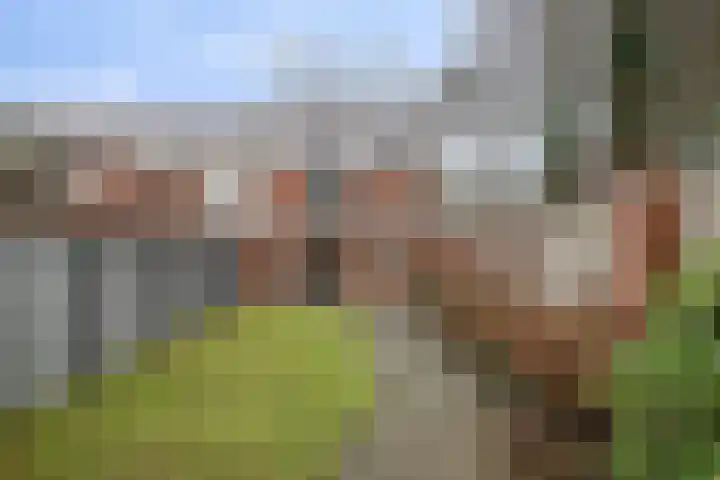 Dr. Slotemaker de Bruïnestraat 13 Veenendaal thumbnail 32
