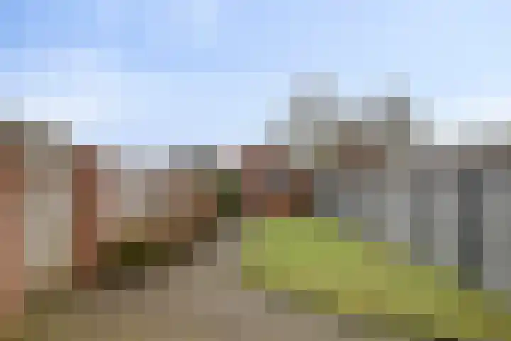 Dr. Slotemaker de Bruïnestraat 13 Veenendaal thumbnail 5