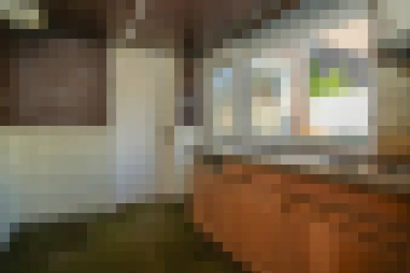 Dr. Slotemaker de Bruïnestraat 30 Veenendaal thumbnail 11