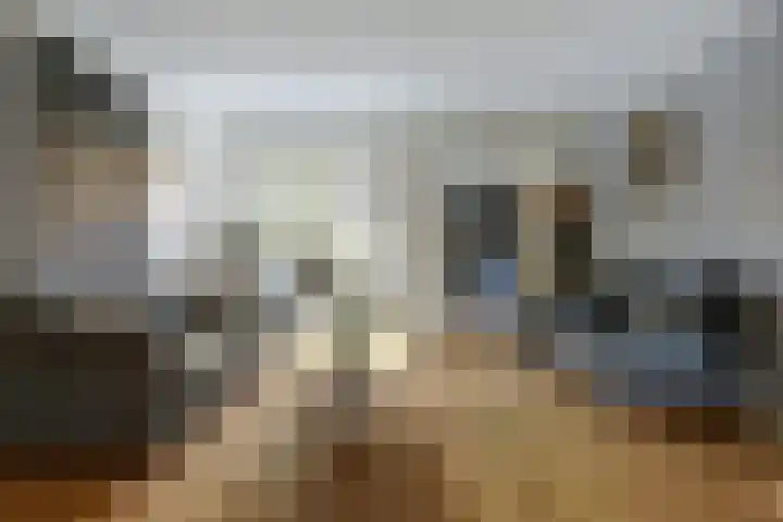 Dr. Slotemaker de Bruïnestraat 38 Veenendaal thumbnail 10