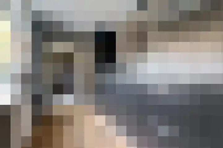 Dr. Slotemaker de Bruïnestraat 38 Veenendaal thumbnail 17