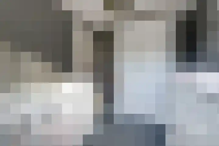 Dr. Slotemaker de Bruïnestraat 38 Veenendaal thumbnail 32