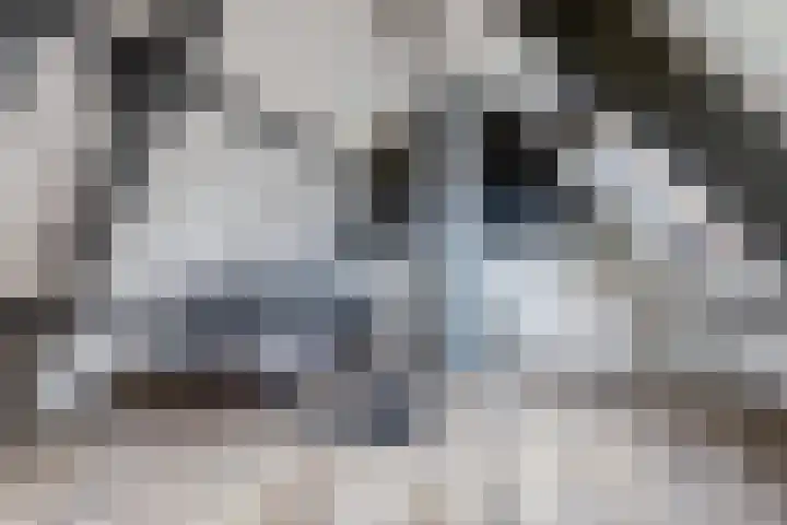 Dr. Slotemaker de Bruïnestraat 38 Veenendaal thumbnail 33