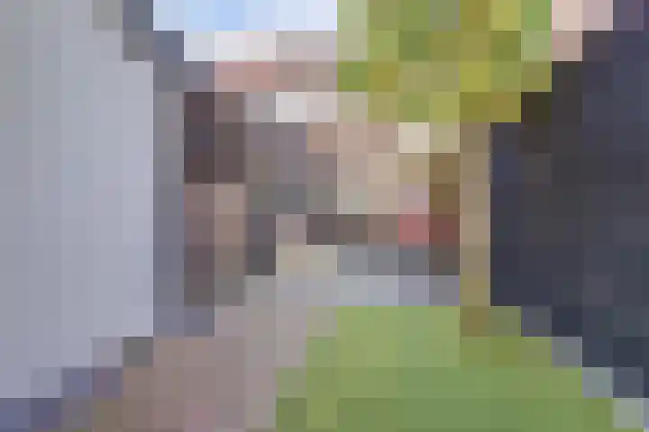Dr. Slotemaker de Bruïnestraat 38 Veenendaal thumbnail 39
