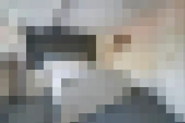 Dr. Slotemaker de Bruïnestraat 38 Veenendaal thumbnail 4