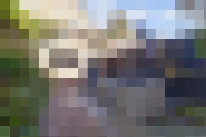 Dr. Slotemaker de Bruïnestraat 38 Veenendaal thumbnail 40