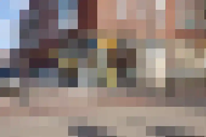 Dr. Slotemaker de Bruïnestraat 38 Veenendaal thumbnail 48