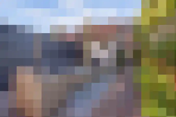 Dr. Slotemaker de Bruïnestraat 38 Veenendaal thumbnail 5