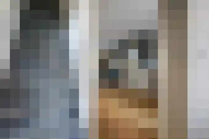 Dr. Slotemaker de Bruïnestraat 38 Veenendaal thumbnail 8