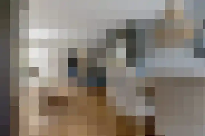 Dr. Slotemaker de Bruïnestraat 38 Veenendaal thumbnail 9
