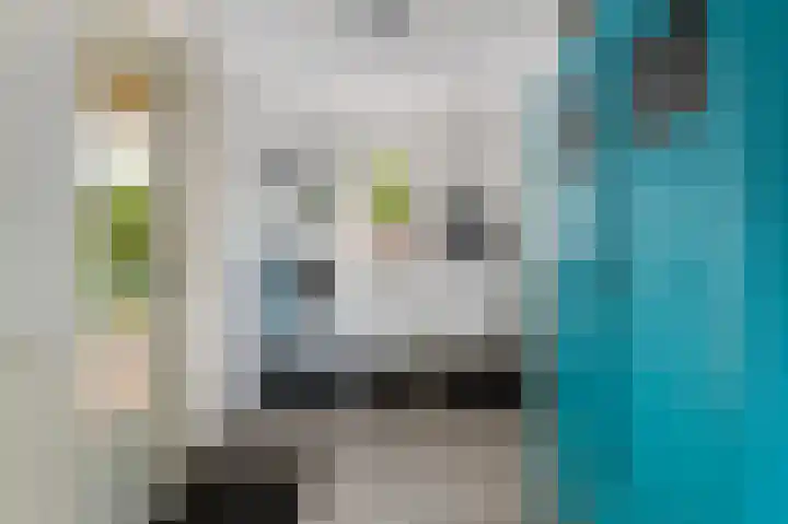Dr. Slotlaan 11 Rekken thumbnail 15