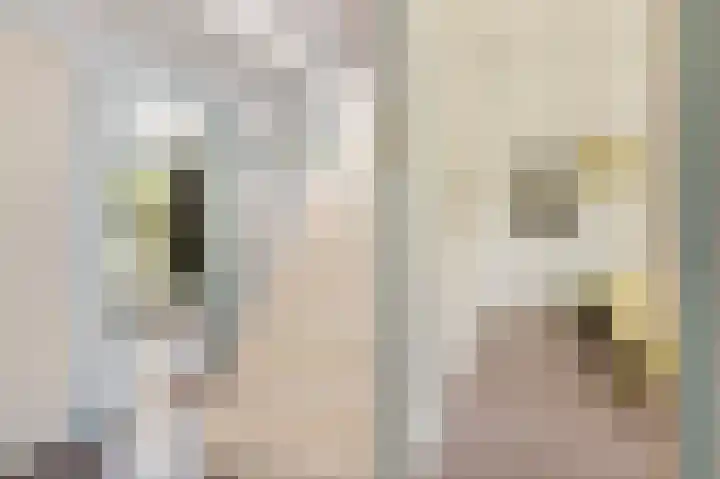 Dr. Slotlaan 11 Rekken thumbnail 16