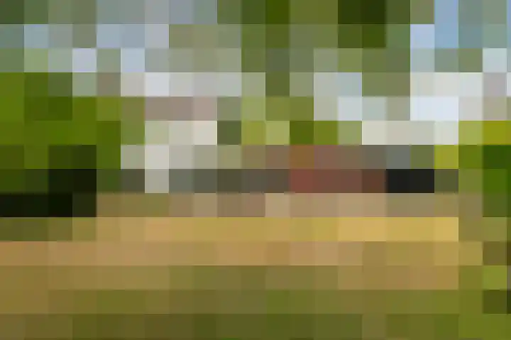Dr. Slotlaan 11 Rekken thumbnail 31