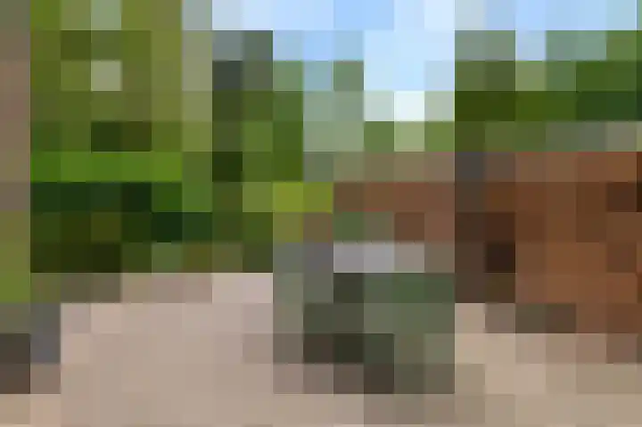 Dr. Slotlaan 11 Rekken thumbnail 37
