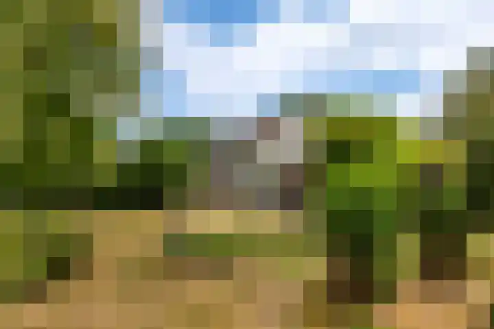 Dr. Slotlaan 11 Rekken thumbnail 39