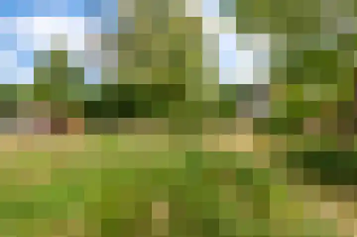 Dr. Slotlaan 11 Rekken thumbnail 40