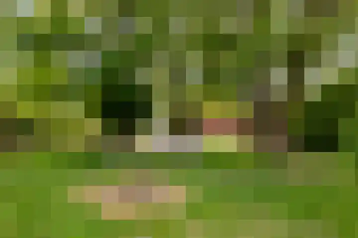Dr. Slotlaan 11 Rekken thumbnail 41