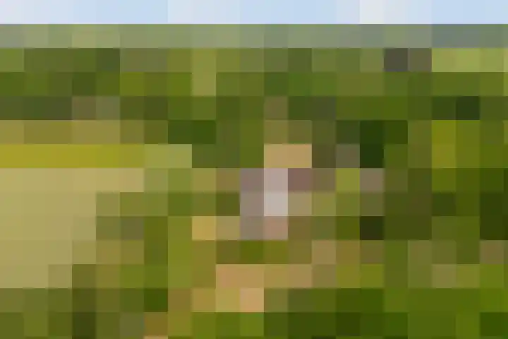 Dr. Slotlaan 11 Rekken thumbnail 44