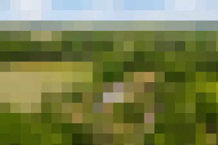 Dr. Slotlaan 11 Rekken thumbnail 45