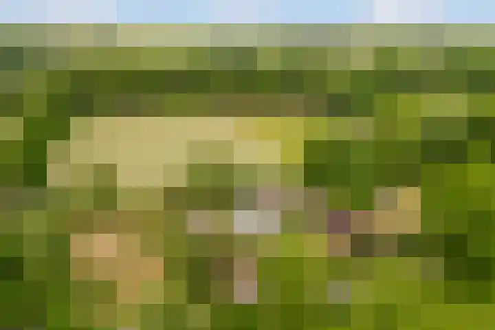 Dr. Slotlaan 11 Rekken thumbnail 46