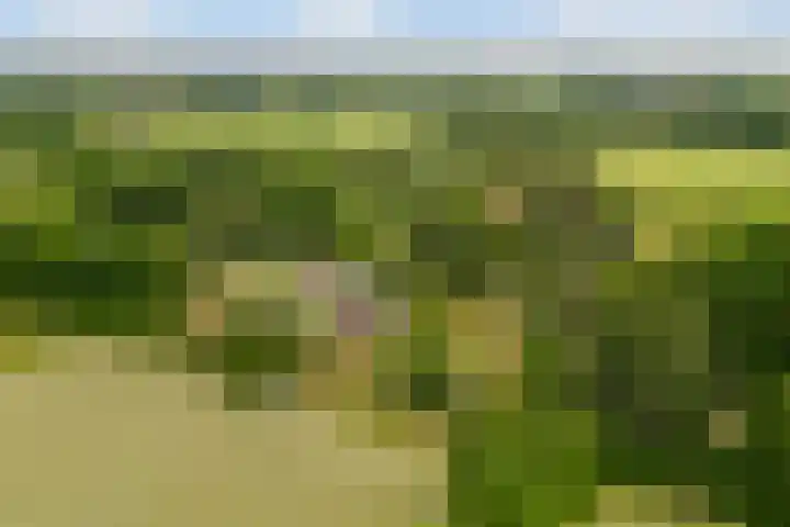Dr. Slotlaan 11 Rekken thumbnail 47