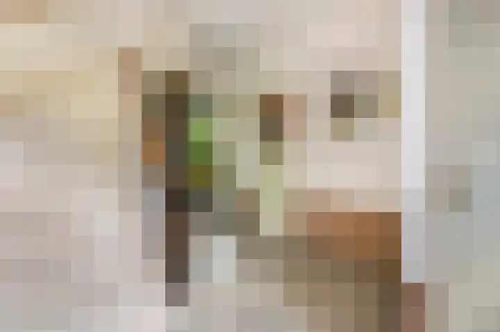 Dr. Slotlaan 11 Rekken thumbnail 7