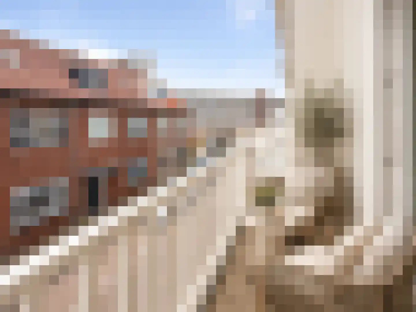 Dr Smitstraat 5 Zandvoort thumbnail 5