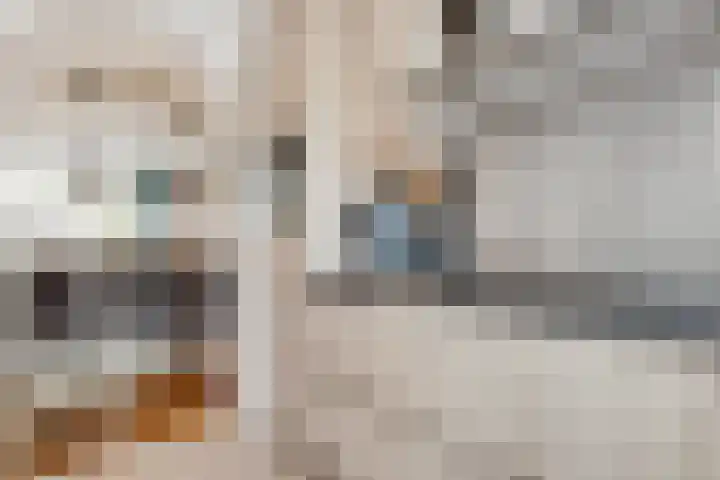 Dr. Stärckelaan 20 Den Dolder thumbnail 11