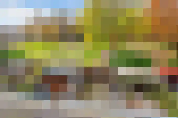 Dr. Stärckelaan 20 Den Dolder thumbnail 24
