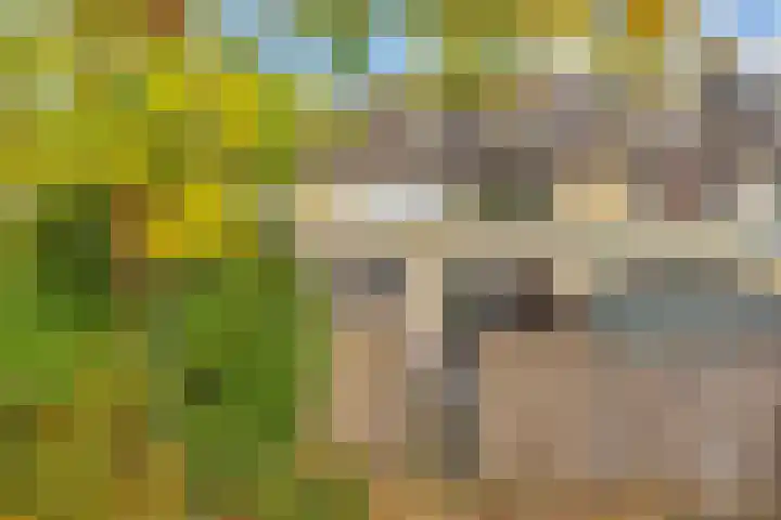 Dr. Stärckelaan 20 Den Dolder thumbnail 31