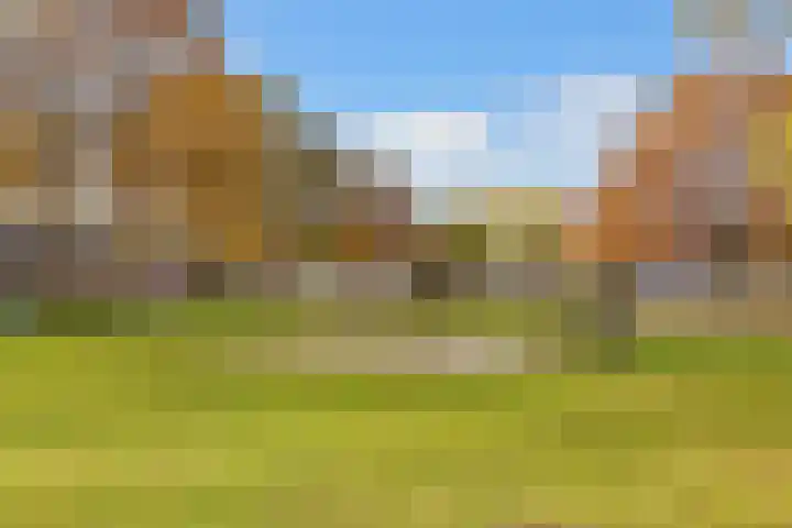 Dr. Stärckelaan 20 Den Dolder thumbnail 32
