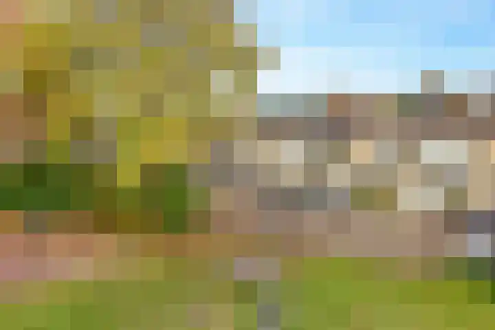 Dr. Stärckelaan 20 Den Dolder thumbnail 33
