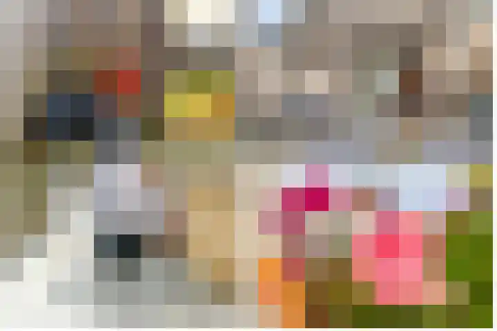 Dr. Stärckelaan 20 Den Dolder thumbnail 34