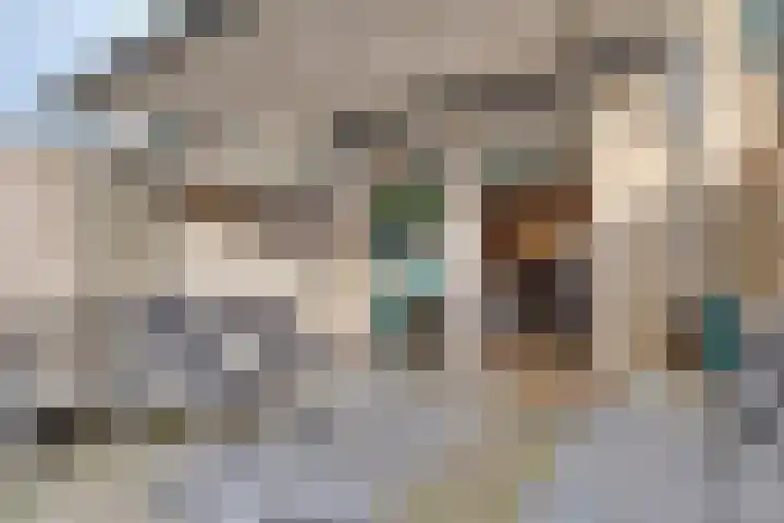 Dr. Stärckelaan 20 Den Dolder thumbnail 36