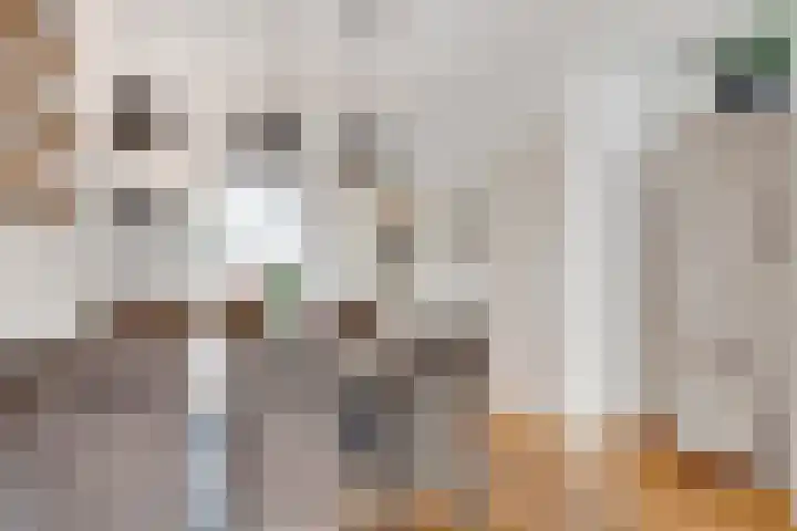 Dr. Stärckelaan 20 Den Dolder thumbnail 7
