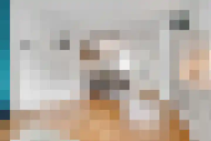 Dr. Stärckelaan 20 Den Dolder thumbnail 8