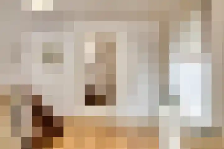 Dr Staringstraat 10 Losser thumbnail 13