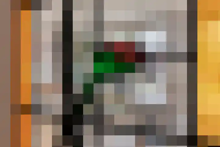 Dr Staringstraat 10 Losser thumbnail 15
