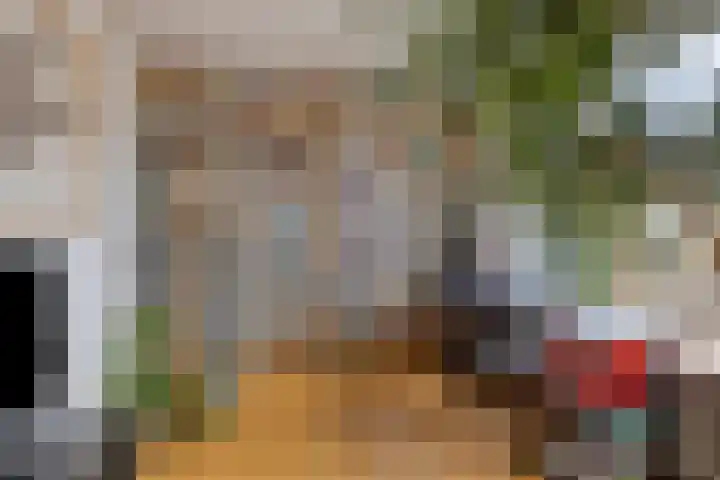 Dr Staringstraat 10 Losser thumbnail 18