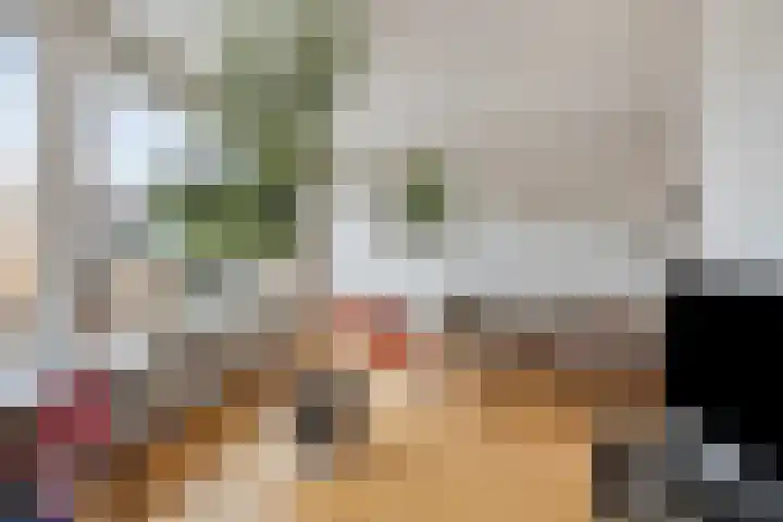 Dr Staringstraat 10 Losser thumbnail 19