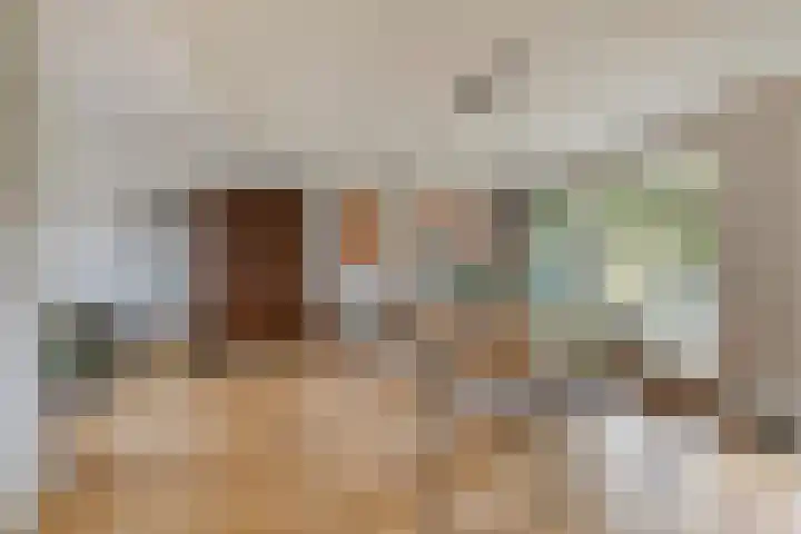 Dr Staringstraat 10 Losser thumbnail 24