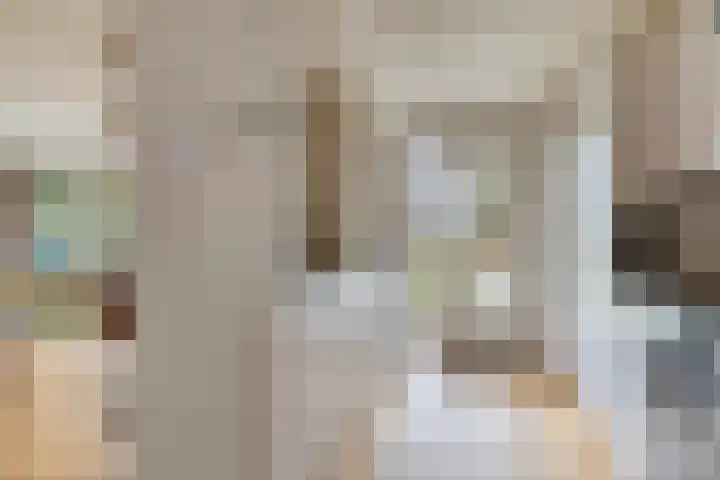 Dr Staringstraat 10 Losser thumbnail 26