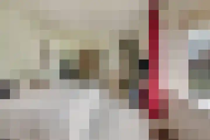 Dr Staringstraat 10 Losser thumbnail 31