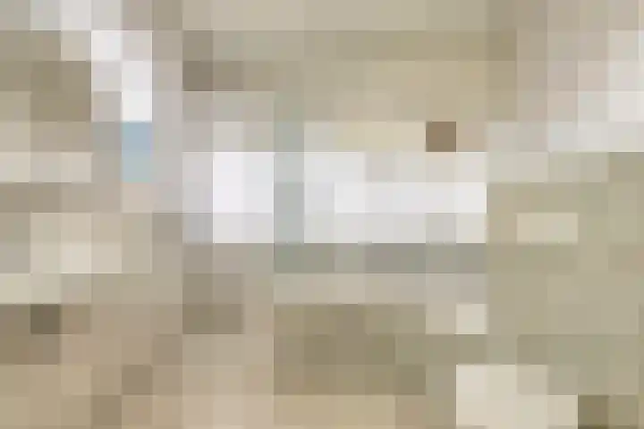 Dr Staringstraat 10 Losser thumbnail 34