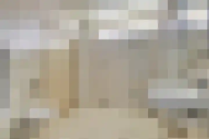 Dr Staringstraat 10 Losser thumbnail 35